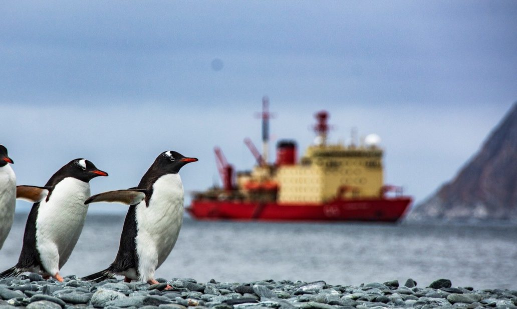 Bicontinentalidad y cartografía. El vector del conocimiento soberano